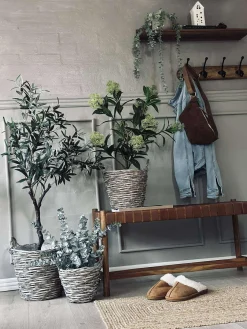 Plantekurve – Sæt med 3 størrelser