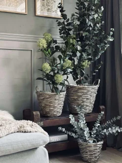 Plantekurve – Sæt med 3 størrelser