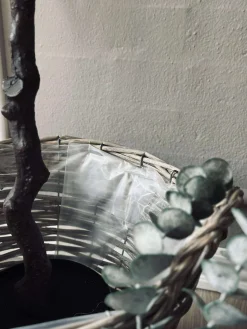 Plantekurve – Sæt med 3 størrelser