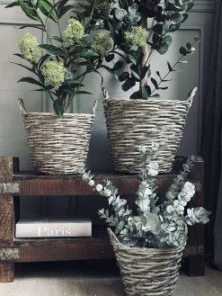 Plantekurve – Sæt med 3 størrelser