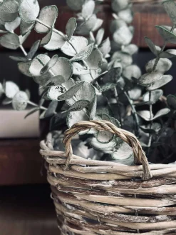 Plantekurve – Sæt med 3 størrelser