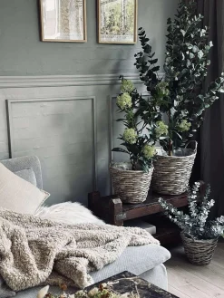 Plantekurve – Sæt med 3 størrelser