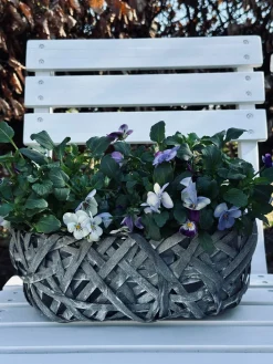 Plantekurve - Sæt m. 2 stk