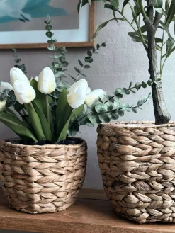 Plantekurve i vandhyacint - Sæt med 2stk.