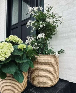 Plantekurve RATTAN BIG - Sæt med 3 størrelser