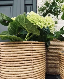 Plantekurve RATTAN BIG - Sæt med 3 størrelser