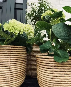Plantekurve RATTAN BIG - Sæt med 3 størrelser