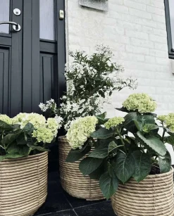 Plantekurve RATTAN BIG - Sæt med 3 størrelser