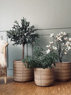 Plantekurve RATTAN BIG - Sæt med 3 størrelser