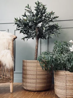 Plantekurve RATTAN BIG - Sæt med 3 størrelser