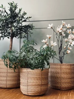 Plantekurve RATTAN BIG - Sæt med 3 størrelser