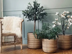 Plantekurve RATTAN BIG - Sæt med 3 størrelser