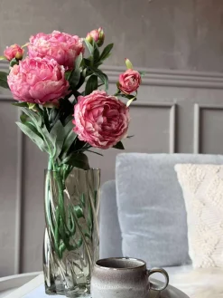 Pæon 60 cm - Flere farver