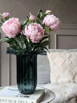 Pæon 60 cm - Flere farver