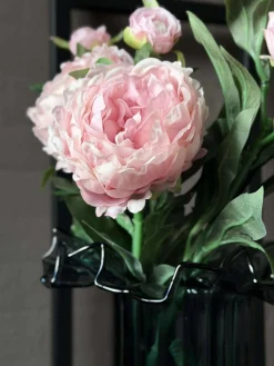 Pæon 60 cm - Flere farver