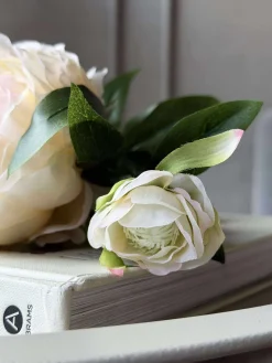 Pæon 60 cm - Flere farver