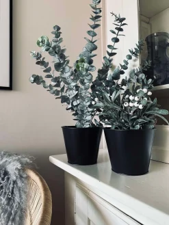 Potte - passer til vægophæng