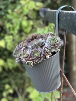 Potte med riller og ophæng - Grå