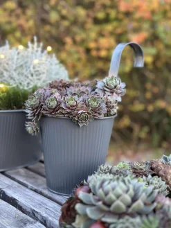 Potte med riller og ophæng - Grå