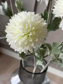 Prydløg stilk 60 cm - Hvid