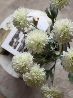 Prydløg stilk 60 cm - Hvid