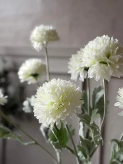 Prydløg stilk 60 cm - Hvid