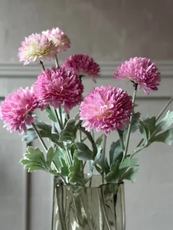 Prydløg stilk 60 cm - Rosa