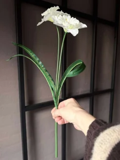 Påskelilje stilk - Hvid