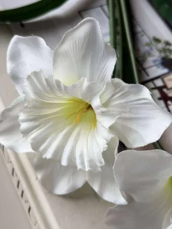 Påskelilje stilk - Hvid