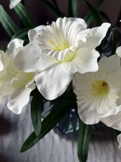 Påskelilje stilk - Hvid