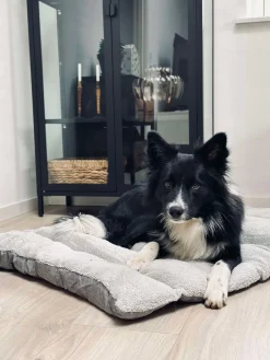 Pude til kæledyr - Vandafvisende