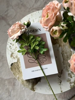 Ranunkel 50cm - Rosa