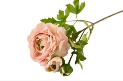 Ranunkel 50cm - Rosa