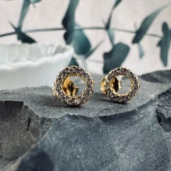 Ørestikker Nynne Clear – Forgyldt sterling sølv