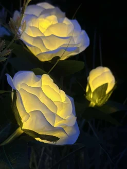 Rose med solceller - Hvid