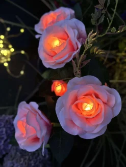 Rose med solceller - Rosa