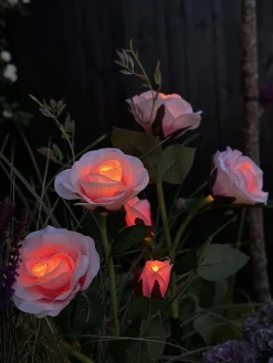 Rose med solceller - Rosa