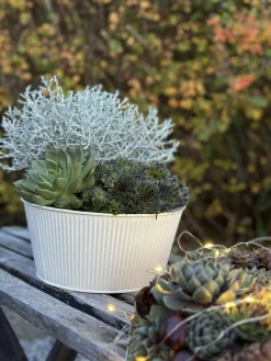 Rund skjuler med riller