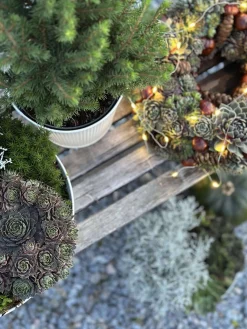 Rund skjuler med riller