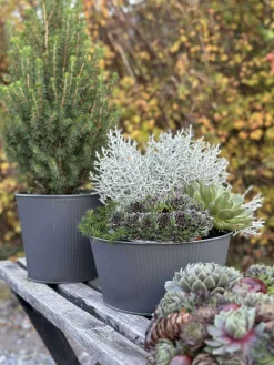 Rund skjuler med riller - Grå