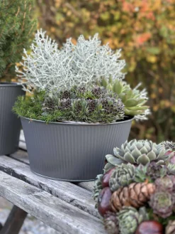 Rund skjuler med riller - Grå