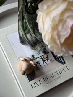 Siddende Mus - Natur