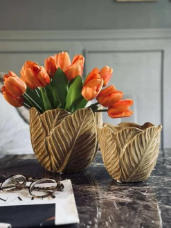 Skjuler Gylden - Flere størrelser