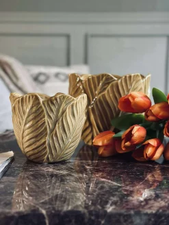 Skjuler Gylden - Flere størrelser