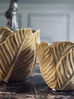 Skjuler Gylden - Flere størrelser