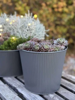 Skjuler med riller - Grå