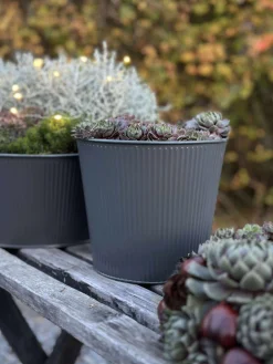 Skjuler med riller - Grå