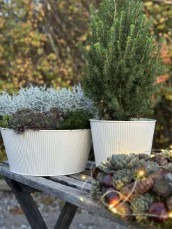 Skjuler med riller - Hvid