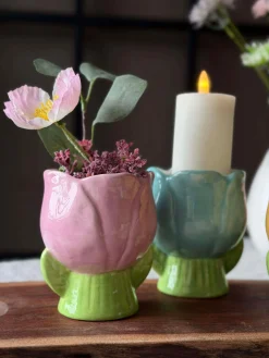 Skjuler Tulipan - Flere farver