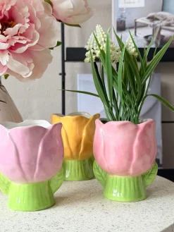 Skjuler Tulipan - Flere farver